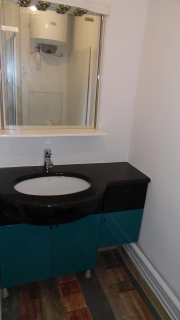 Location appartement T2 Decines Charpieu - Photo 5