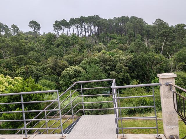 Location appartement T3 St Sebastien d'Aigrefeuille - Photo 9