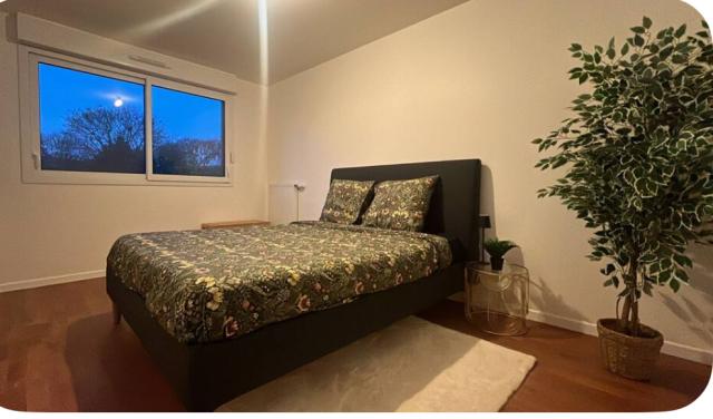 Location appartement T2 Chevilly Larue - Photo 5