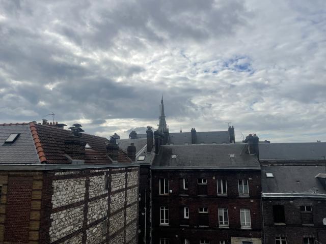 Location appartement T3 Rouen - Photo 7