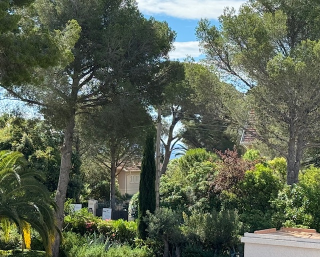 Location appartement T2 St Raphael - Photo 3
