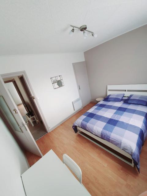 Location appartement T3 Grenoble - Photo 3