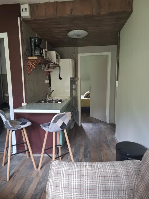 Location appartement T2 Cassaniouze - Photo 4