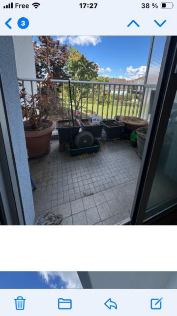Location appartement T3 Lingolsheim - Photo 7