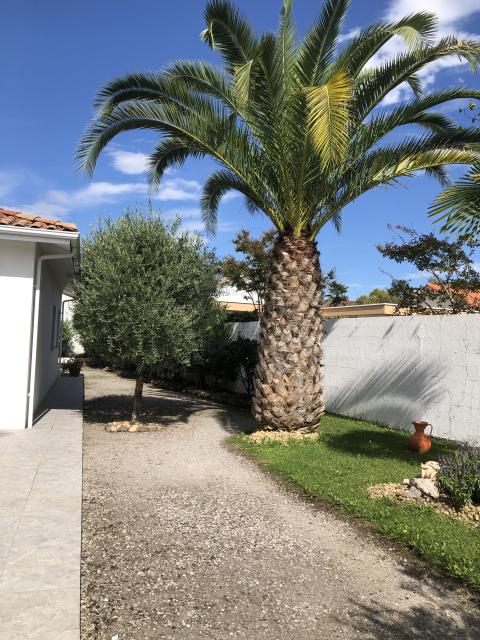 Location maison F2 Hagetmau - Photo 4