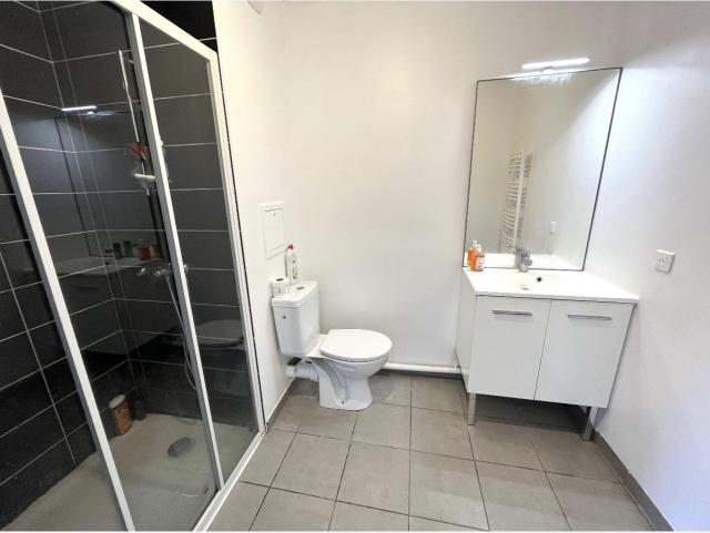 Location appartement T2 Givors - Photo 3