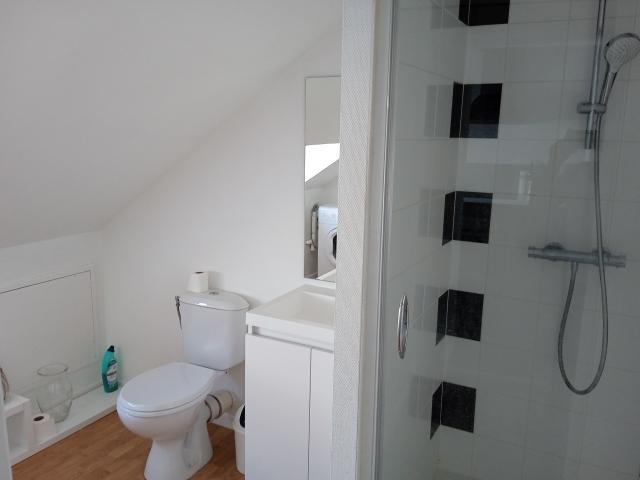 Location appartement T2 Nantes - Photo 4