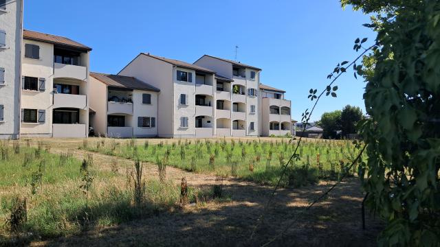 Location appartement T3 Villenave d'Ornon - Photo 2