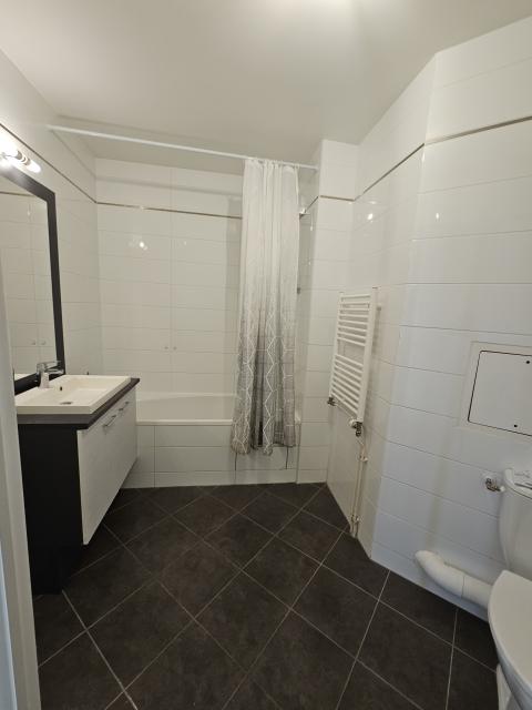 Location appartement T2 Antony - Photo 10