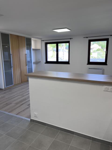 Location appartement T2 Sarrebourg - Photo 2
