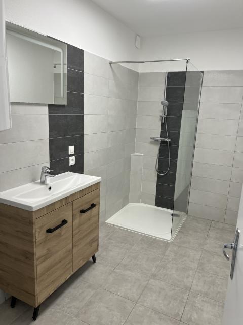 Location appartement T2 Sarrebourg - Photo 3