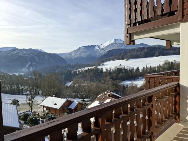 Location appartement T2 Mieussy - Photo 6
