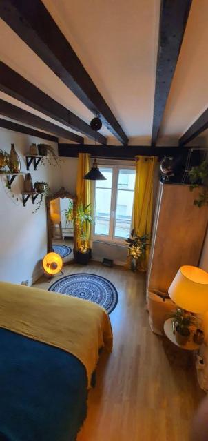 Location appartement T2 Paris 11 - Photo 3