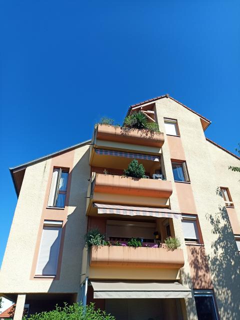 Location appartement T5 Tarbes - Photo 5