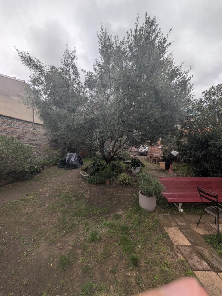 Location chambre Toulouse - Photo 1
