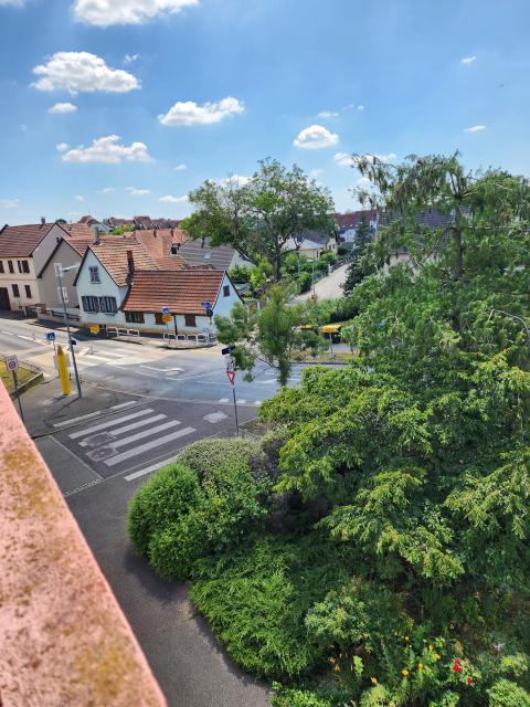 Location appartement T4 Lingolsheim - Photo 2