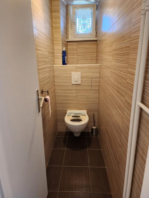 Location appartement T4 Lingolsheim - Photo 9