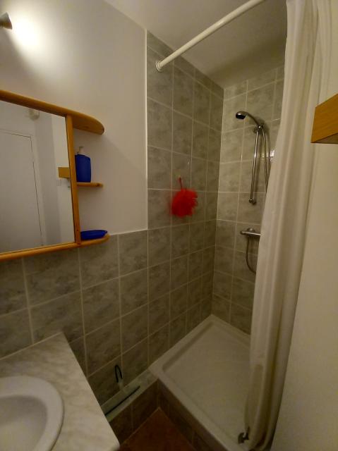 Location studio St Leon sur Vezere - Photo 5