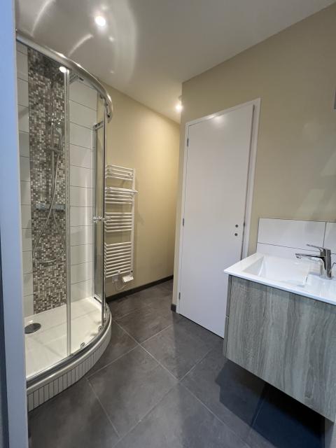 Location appartement T2 La Madeleine - Photo 3