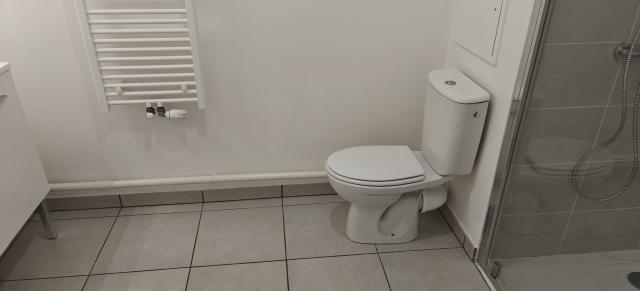 Location appartement T2 Lyon 9 - Photo 3