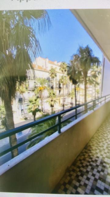Location appartement T3 Hyeres - Photo 3