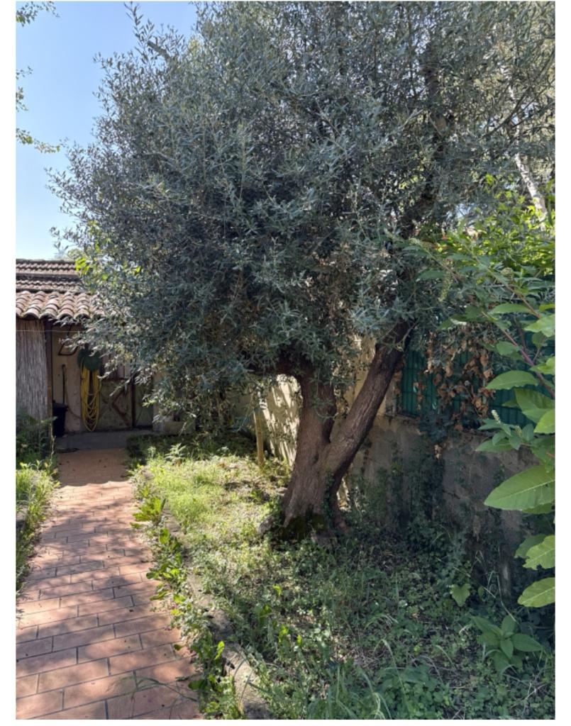 Location chambre Avignon - Photo 3