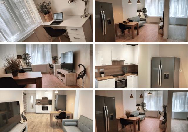 Location appartement T3 St Etienne - Photo 5