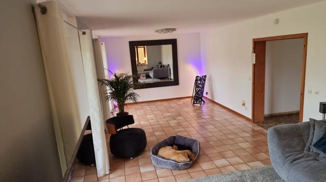 Location appartement T5 Niederlauterbach - Photo 3