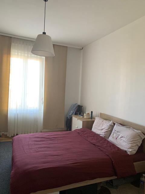 Location appartement T4 Colmar - Photo 2