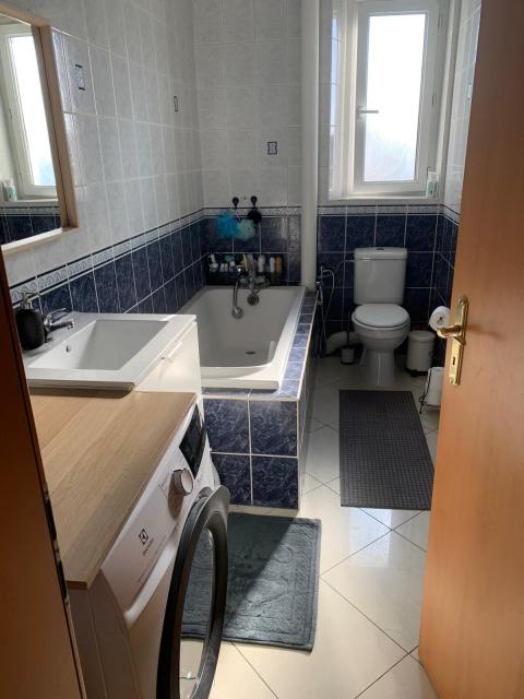 Location appartement T4 Colmar - Photo 3