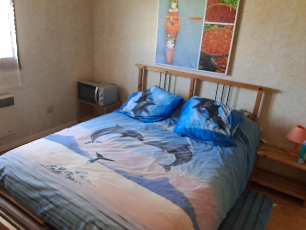 Location chambre Beauzelle - Photo 1