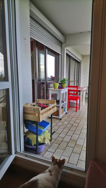 Location appartement T3 Les Ulis - Photo 5