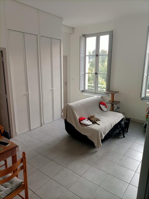 Location appartement T2 Saumur - Photo 5