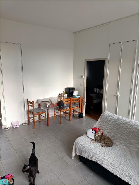 Location appartement T2 Saumur - Photo 6