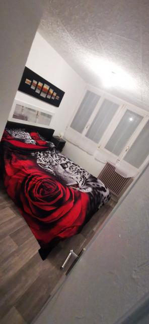 Location appartement T4 Echirolles - Photo 5