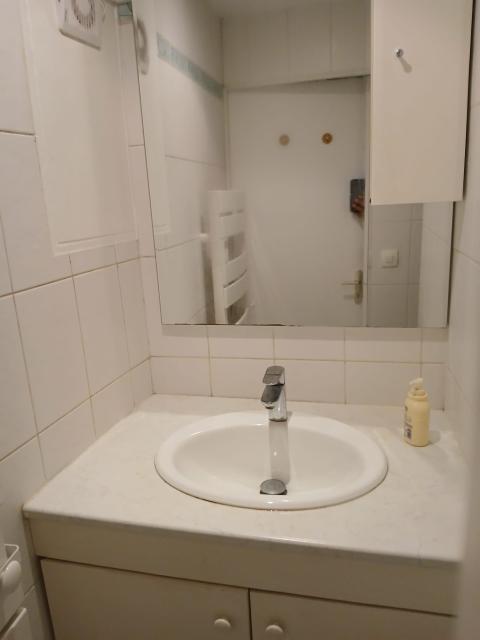 Location appartement T2 Palaiseau - Photo 7
