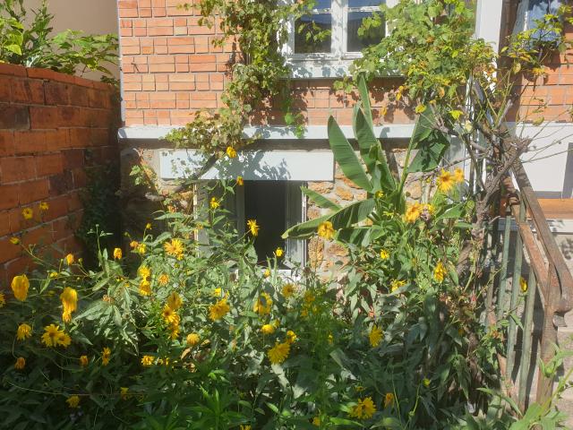 Location appartement T2 Bagneux - Photo 3