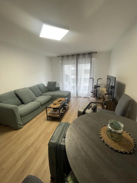 Location appartement T2 Strasbourg - Photo 4