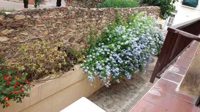 Location appartement T2 Argeles sur Mer - Photo 2