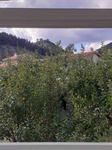 Location maison F4 Bas en Basset - Photo 5
