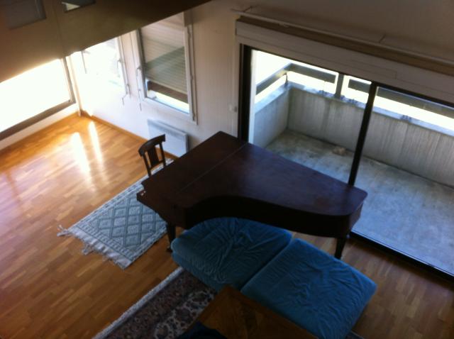 Location appartement T4 Blagnac - Photo 2