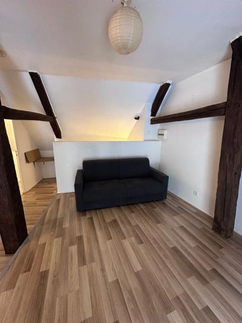 Location appartement T2 Ferrieres en Gatinais - Photo 3