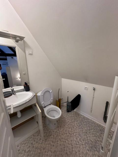 Location appartement T2 Ferrieres en Gatinais - Photo 5