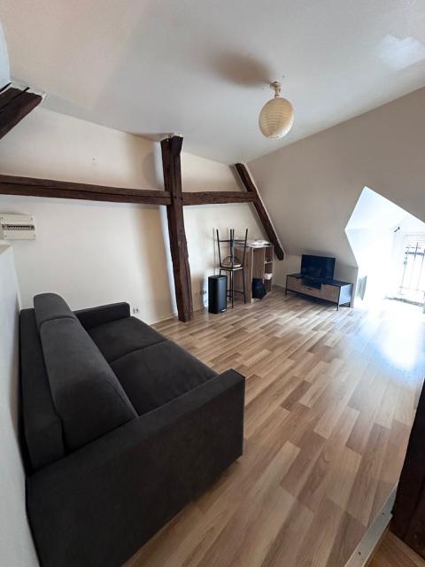 Location appartement T2 Ferrieres en Gatinais - Photo 6