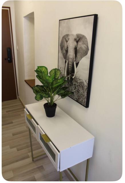 Location appartement T2 La Fleche - Photo 4