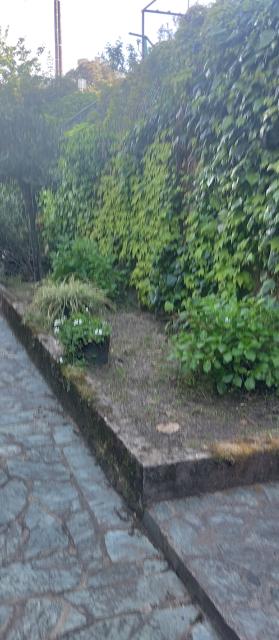 Location maison F5 Petreto Bicchisano - Photo 8