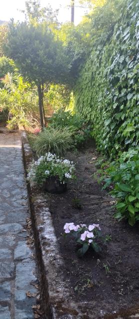 Location maison F5 Petreto Bicchisano - Photo 9