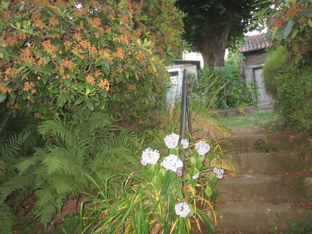 Location appartement T4 Limoges - Photo 3